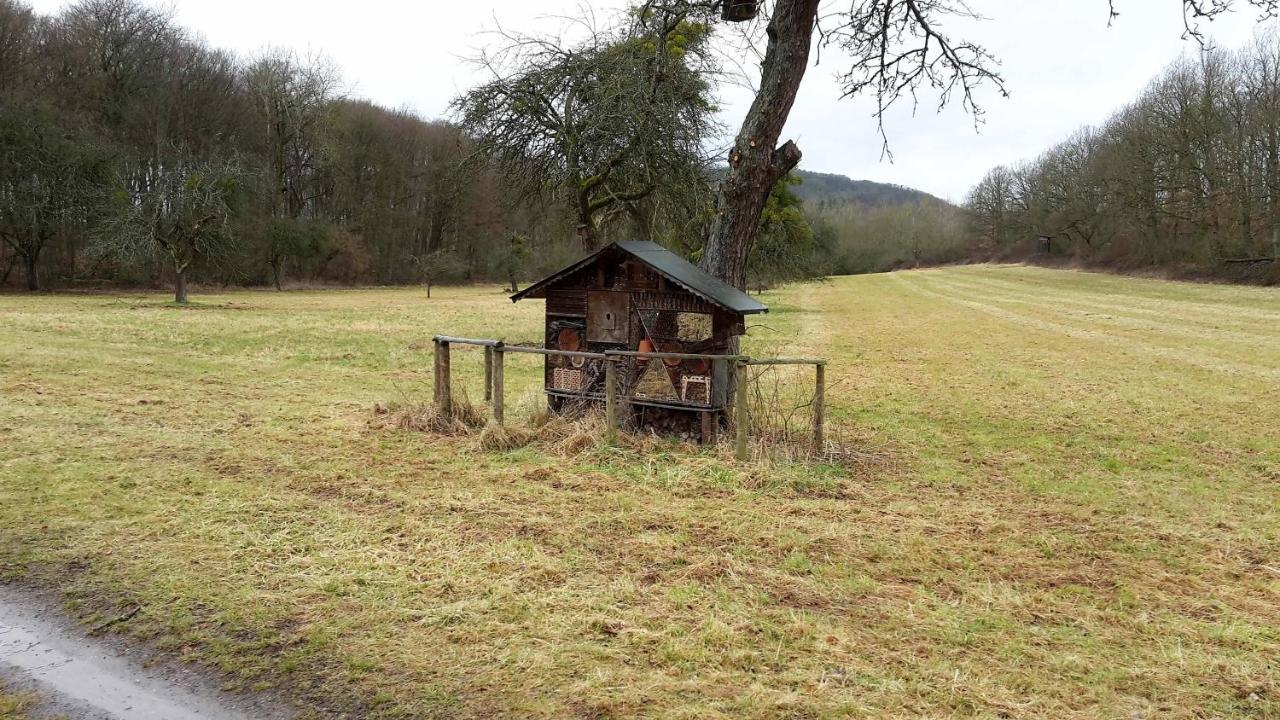 Haus Mit Seele Im Nahetal Weinsheim (Bad Kreuznach) Exterior foto