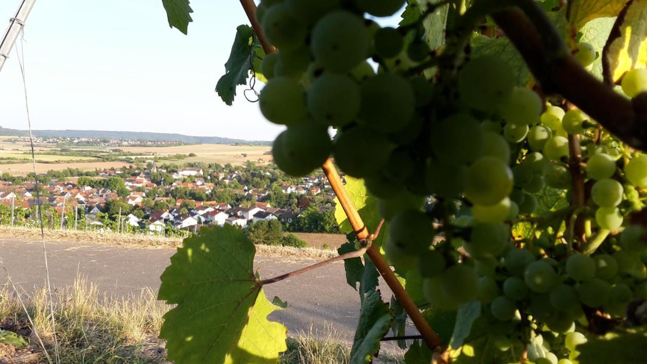 Haus Mit Seele Im Nahetal Weinsheim (Bad Kreuznach) Exterior foto